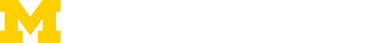Wordpress example logo